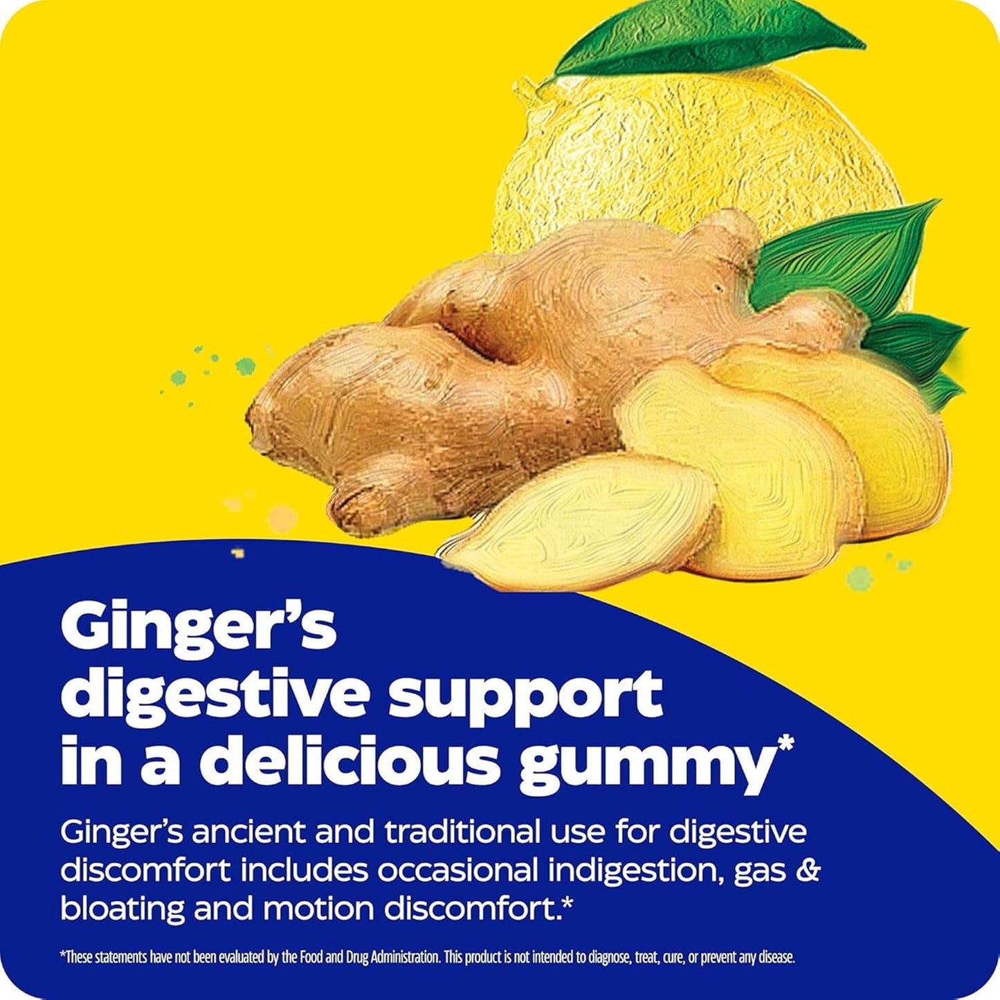 Enzymedica Ginger & B6 Gummies, 60 CT Gsupps Australia