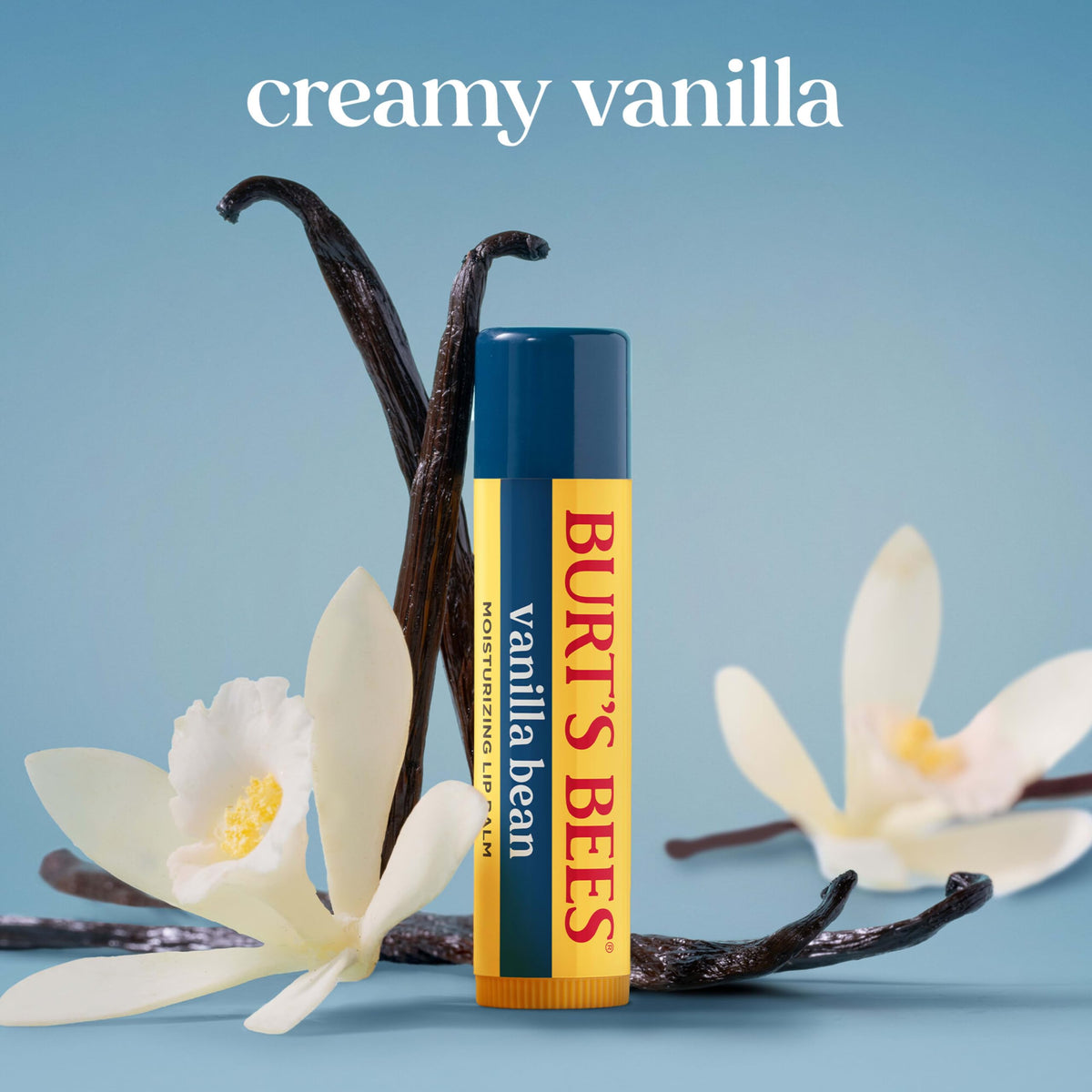 Burt's Bees Lip Balm - Vanilla Bean, Lip Moisturizer With Responsibly Sourced Beeswax, Tint-Free, Natural Origin Conditioning Treatment, 2 Tubes, 0.15 oz. Burt's Bees
