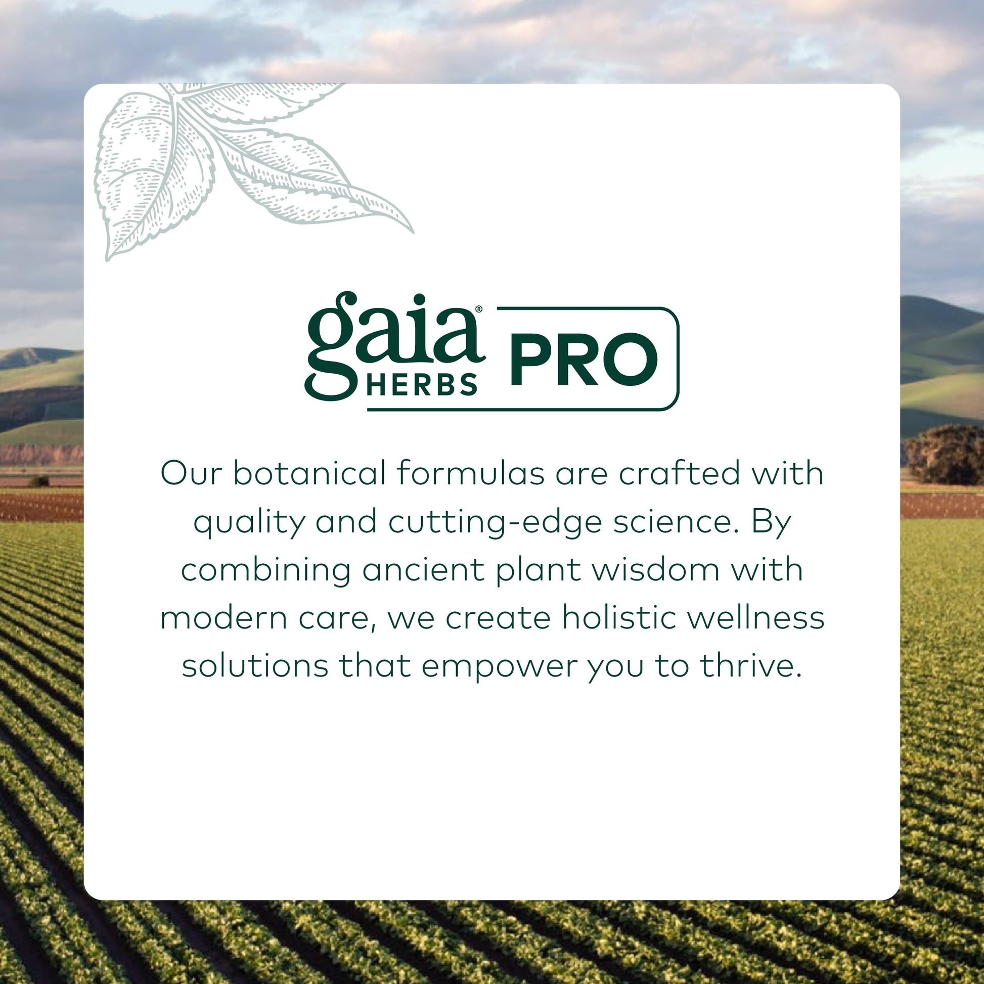 GAIA HERBS PRO Female Support Formula - Supports Healthy PMS & Menopause Fluctuations with Alfalfa Leaf, Black Cohosh Root Extract, Dandelion Root & More* - Vegan - 60 Liquid Phyto-Caps (60 Servings) Gaia Herbs PRO buy australia supplements