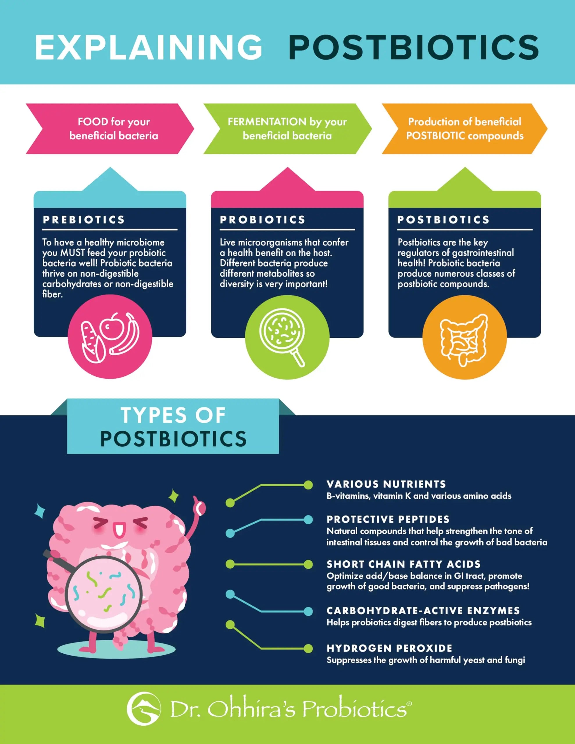 Essential Formulas Dr. Ohhira’s Probiotics Original Formula with 3 Year Fermented Prebiotics, Live Active Probiotics and The only Product with Postbiotic Metabolites, 60 Capsules Essential Formulas buy australia supplements