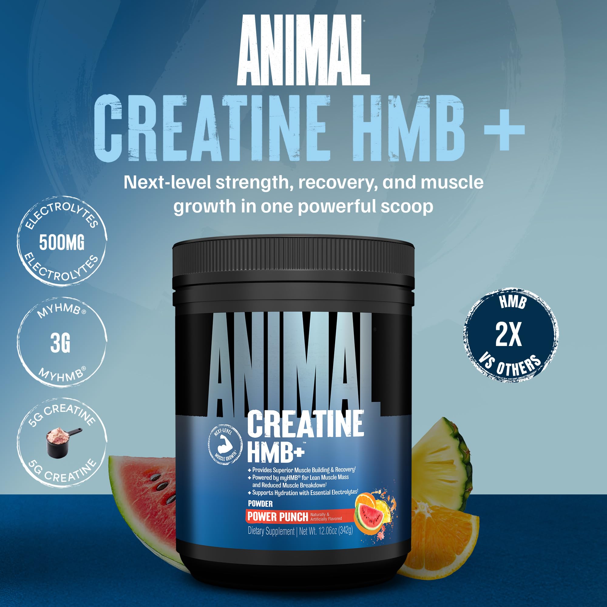 Animal Creatine HMB Powder – 3g myHMB + 5g Creatine with Electrolytes for Recovery & Daily Energy – Power Punch Flavor, 30 Servings Animal buy australia supplements