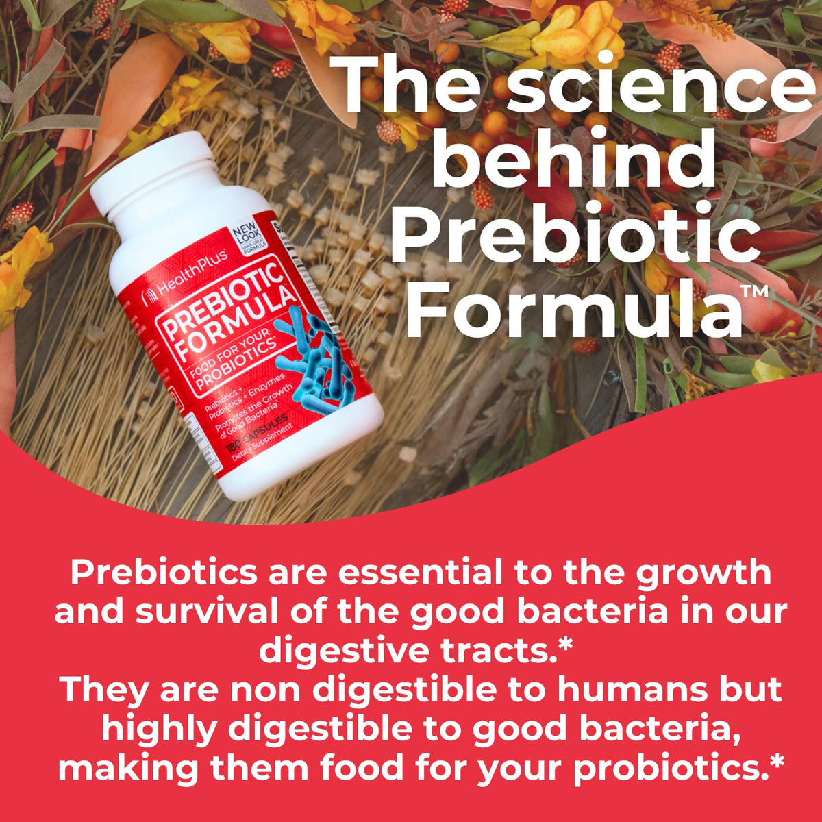 Health Plus Prebiotic Formula - Probiotics + Prebiotics + Digestive Enzymes - Gluten Free, Dairy Free, Natural Herbal Ingredients Health Plus