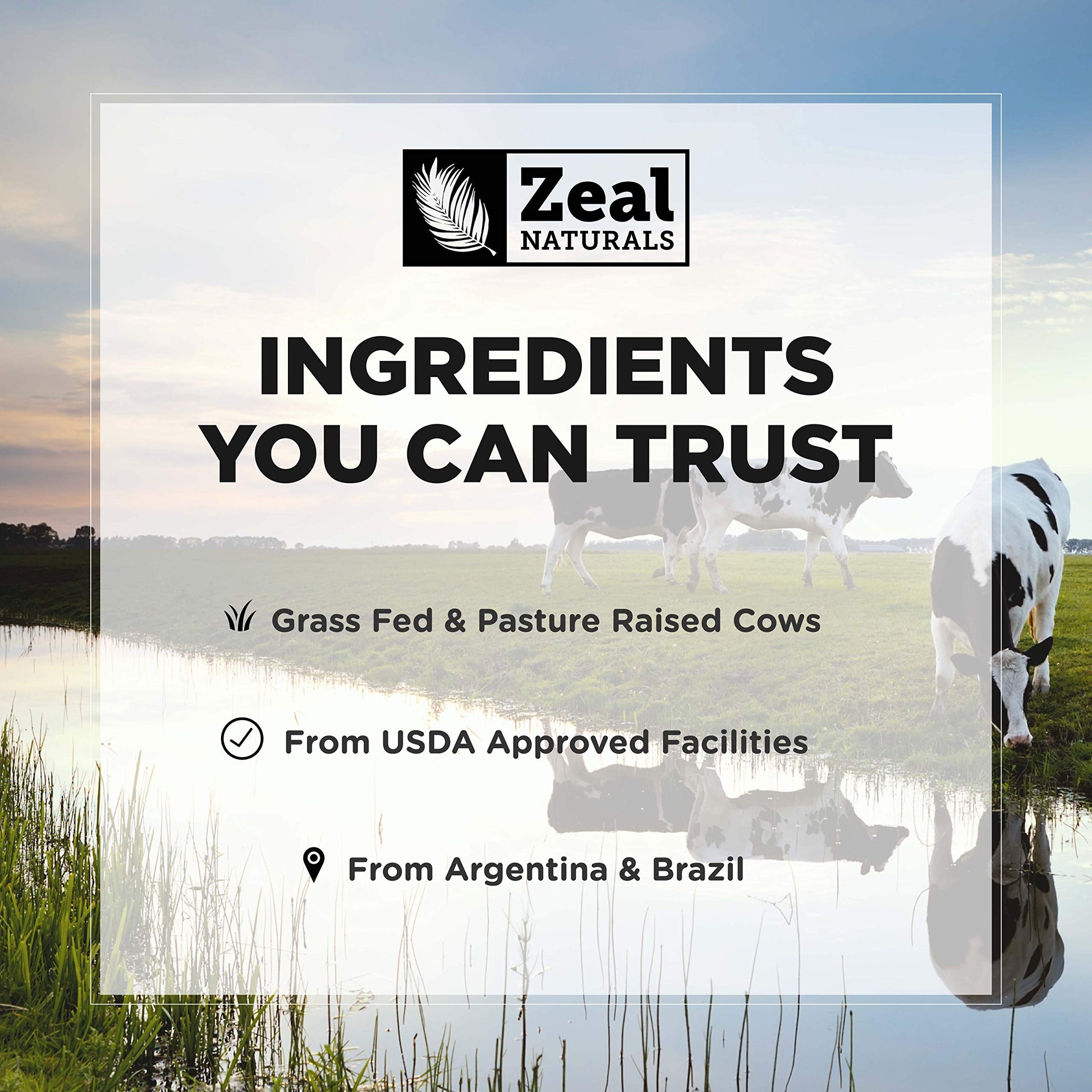 Zeal Naturals Collagen Peptides Collagen Pills (360 Capsules) Grass Fed Collagen Pepetide Powder - Hydrolyzed Collagen Powder for JointTendon SupplementHair Skin and Nails - Zeal Naturals buy australia supplements