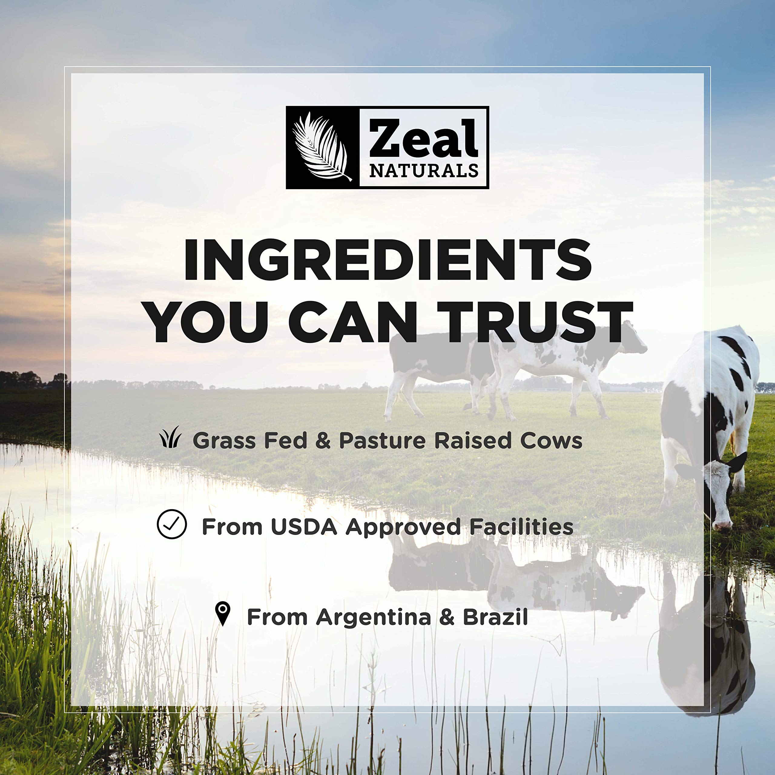 Zeal Naturals Collagen Peptides Collagen Pills (360 Capsules) Grass Fed Collagen Pepetide Powder - Hydrolyzed Collagen Powder for JointTendon SupplementHair Skin and Nails - Zeal Naturals buy australia supplements