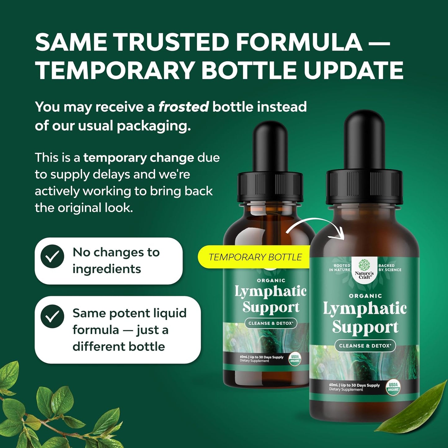 Organic Lymphatic Drainage Drops - Organic Cleavers & Echinacea - 2 Fl Oz | Herbal Lymphatic Complex - Immune Support Supplement with Organic Elderberry & Red Clover - Vegan, Non GMO - 30 Servings Gsupps Australia