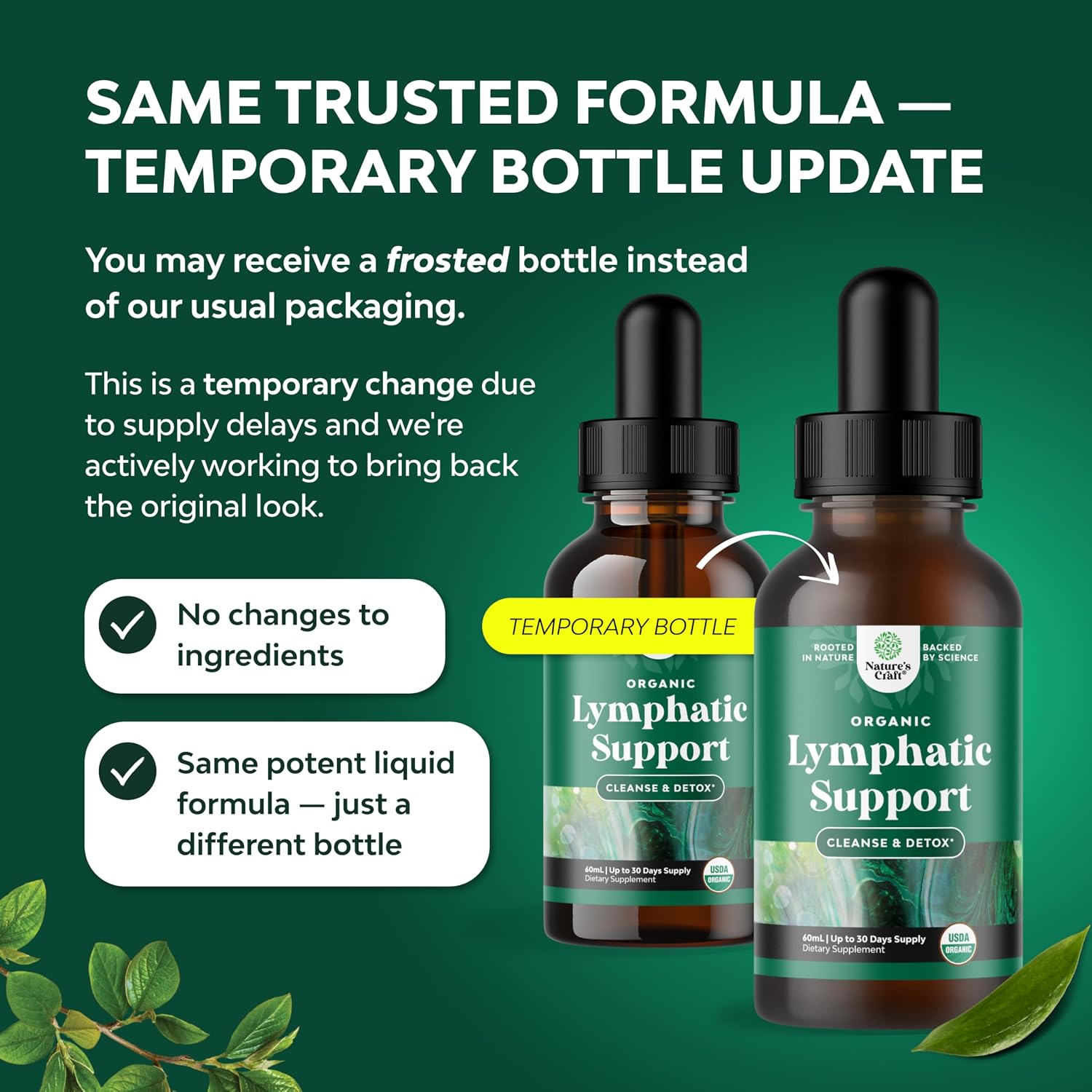 Organic Lymphatic Drainage Drops - Organic Cleavers & Echinacea - 2 Fl Oz | Herbal Lymphatic Complex - Immune Support Supplement with Organic Elderberry & Red Clover - Vegan, Non GMO - 30 Servings Gsupps Australia