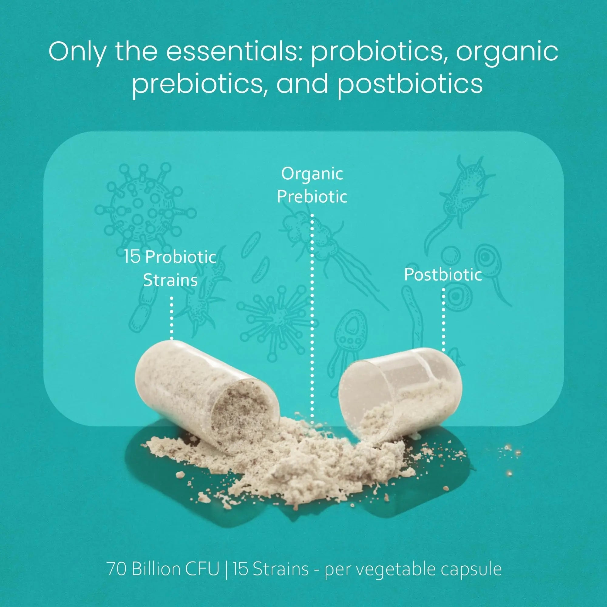 NaturaLife Labs Probiotics 70 Billion CFU – 15 Strains with Organic Prebiotic & Postbiotic – 3-in-1 Formula – 30 Vegan Capsules NaturaLife Labs buy australia supplements