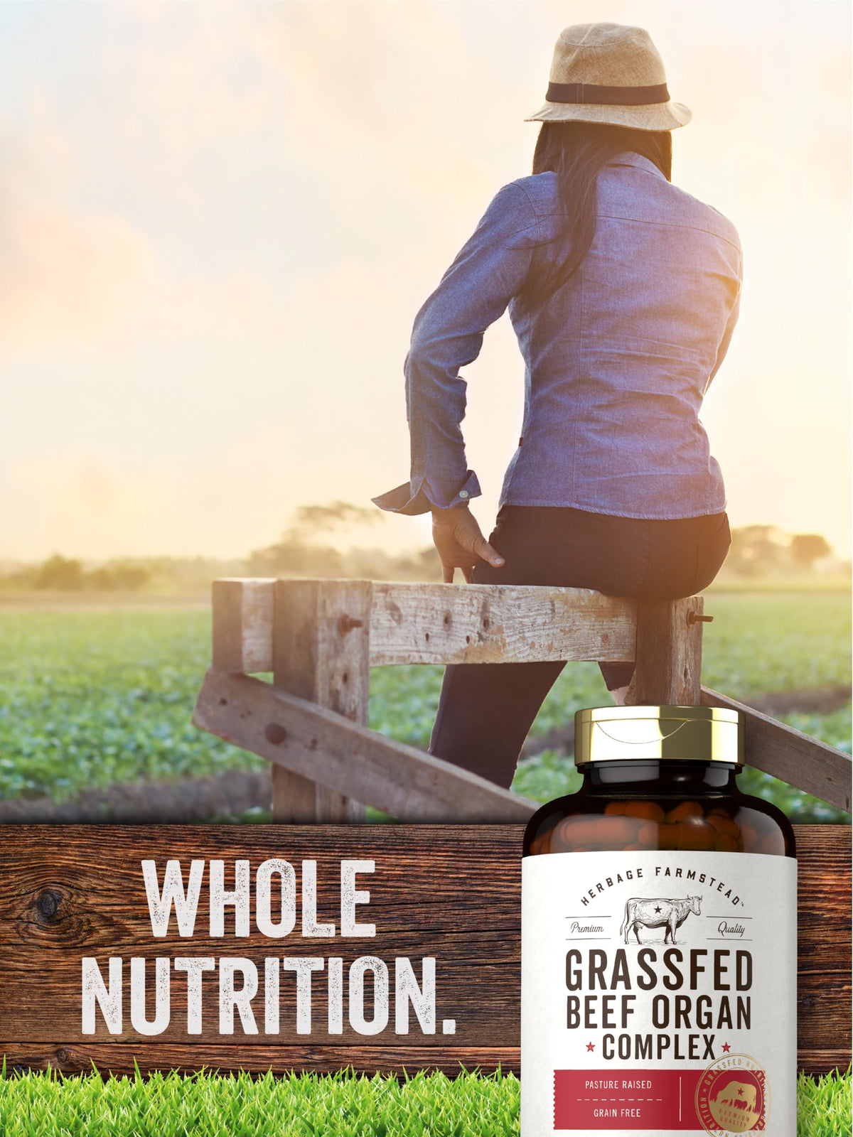 Carlyle Grass Fed Beef Organ Complex | 200 Capsules | Pasture Raised, Grain Free Supplement | with Desiccated Liver, Kidney, Pancreas, Heart, Spleen Carlyle