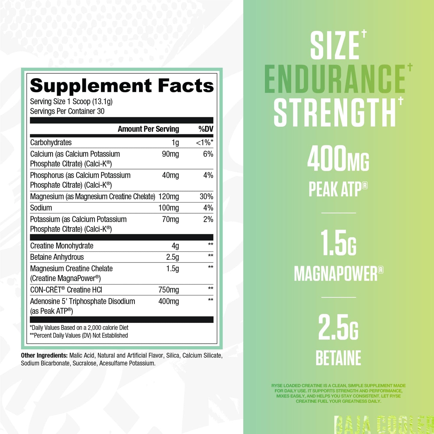 RYSE Loaded Creatine for Men & Women - Electric Lemonade - Muscle Building Formula with 3 Forms of Electrolytes, Betaine Anhydrous and Peak ATP - Strength, Power & Endurance Support - 30 Servings