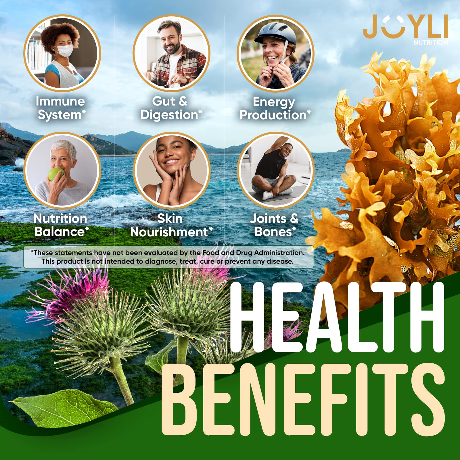 Sea Moss Gummies - Irish Seamoss Gummies for Adults & Kids - Advanced Superfood Supplement with Natural Sea Moss Gel, Bladderwrack & Burdock Root Extract - 60 Vegan Irish Moss Gummy Bears JOYLI Nutrition buy australia supplements