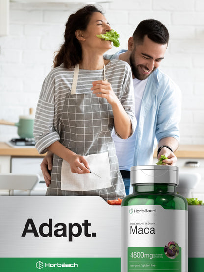 Horbäach Maca Root Capsules for Men and Women | 120 Pills | High Potency Extract | Non-GMO and Gluten Free Formula Horbäach