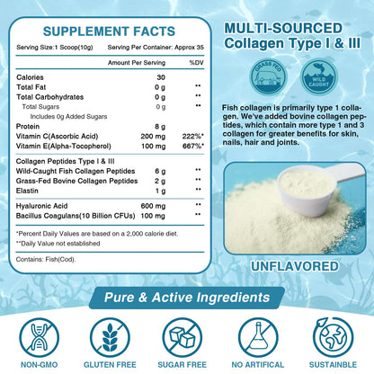 NATURE TARGET Marine Collagen Peptides Powder - Type I & III Collagen with Probiotics, Vitamin C & Hyaluronic Acid for Skin, Hair, Nails NATURE TARGET