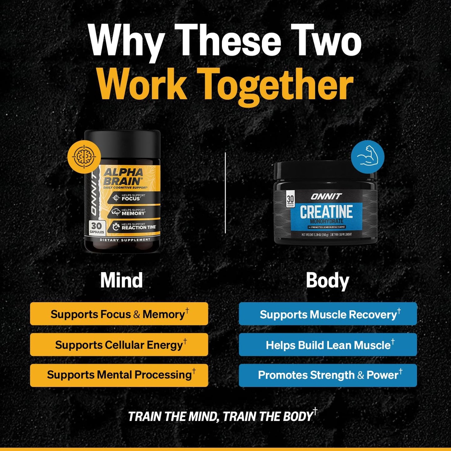 ONNIT Cognitive & Strength Performance Bundle: Alpha Brain Nootropic Capsules (30 Count) + Creatine Monohydrate Powder (30 Servings), IGEN Non-GMO Tested Focus, Strength & Lean Muscle – Pack of 2