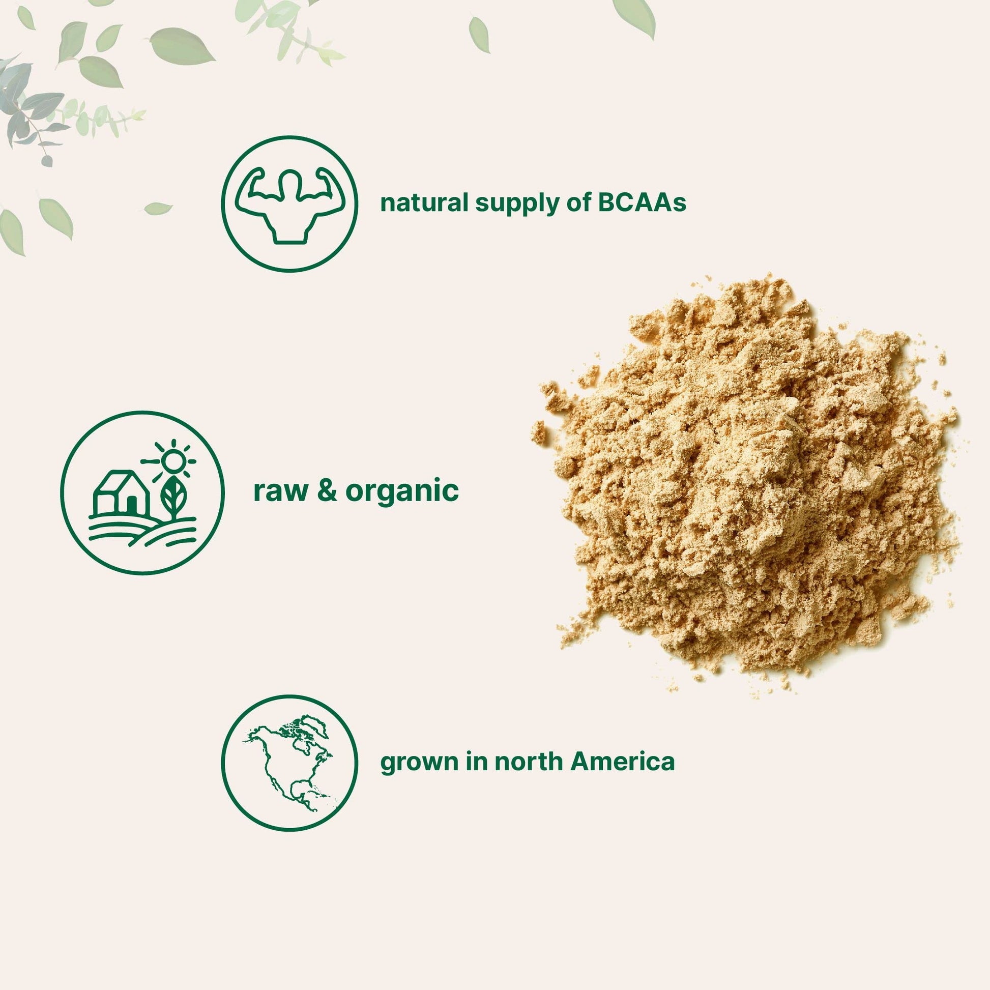 North America Grown, Organic Pea Protein Powder, 1KG (2.2 Pounds) | Plant-Based Vegan Protein, Meatless Protein Supplement, Natural Branched Chain Amino Acids | Non-GMO, Soy Free Micro Ingredients buy australia supplements