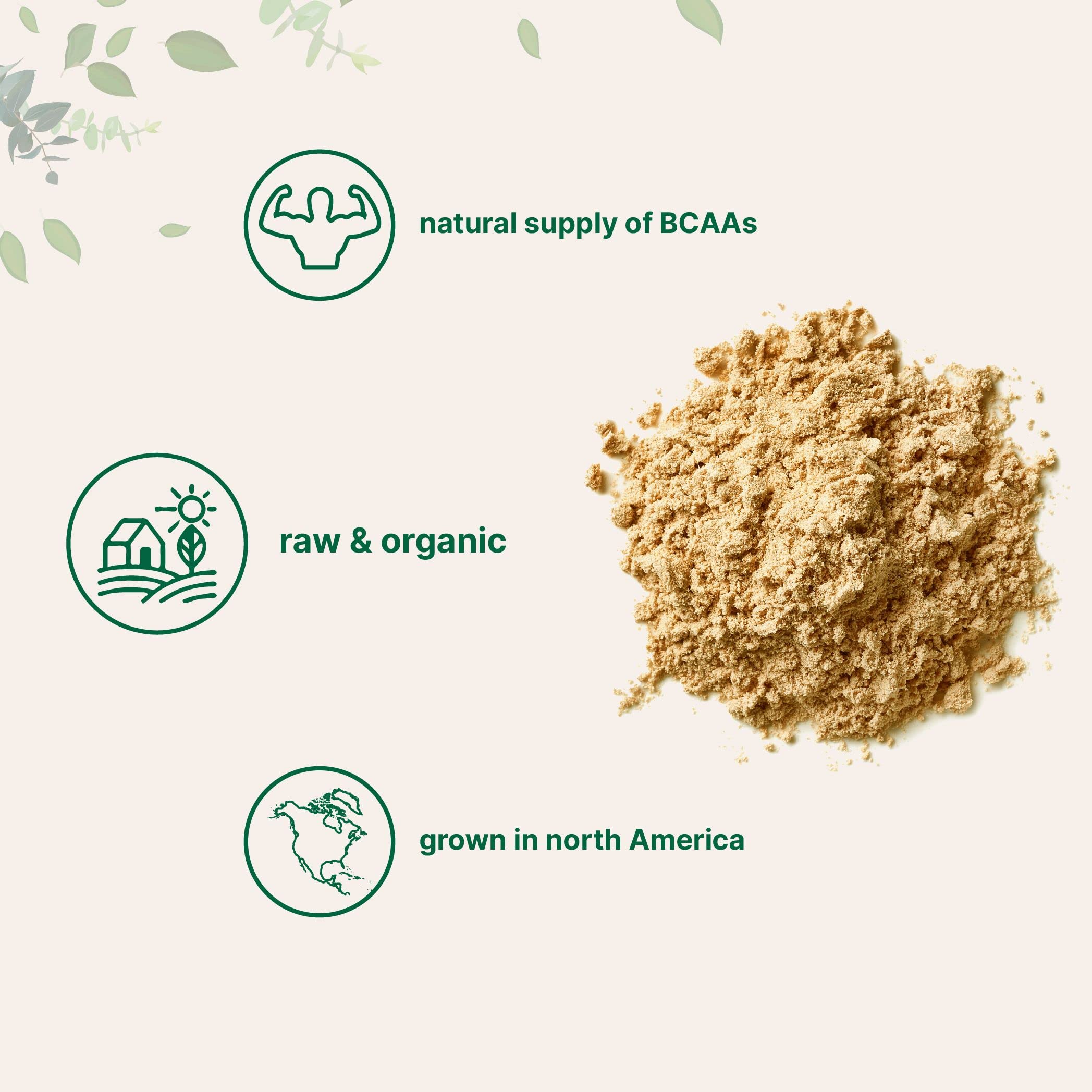 North America Grown, Organic Pea Protein Powder, 1KG (2.2 Pounds) | Plant-Based Vegan Protein, Meatless Protein Supplement, Natural Branched Chain Amino Acids | Non-GMO, Soy Free Micro Ingredients buy australia supplements
