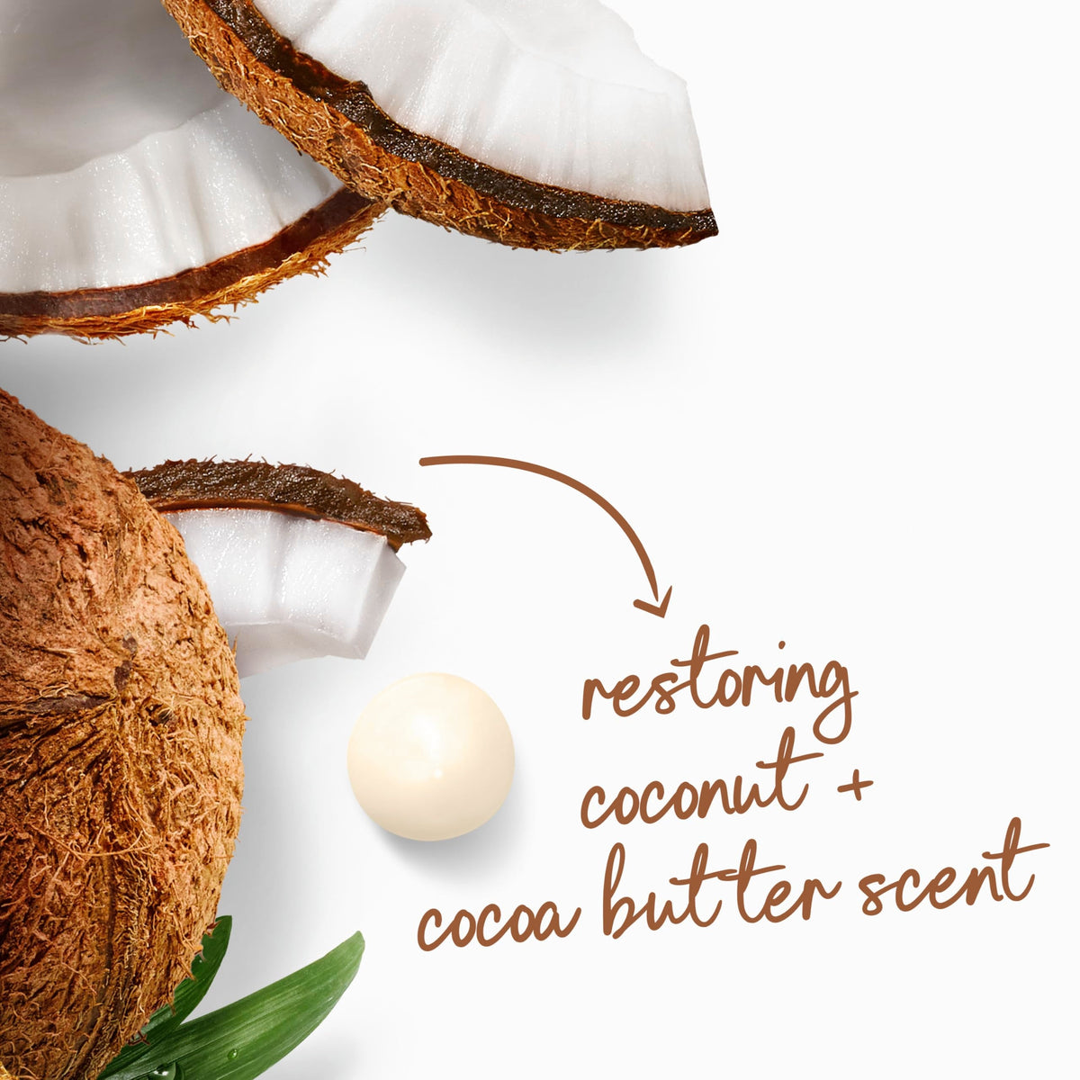 Dove Body Wash Restore Coconut & Cocoa Butter 30.6 oz Pump, Sulfate Free Dove