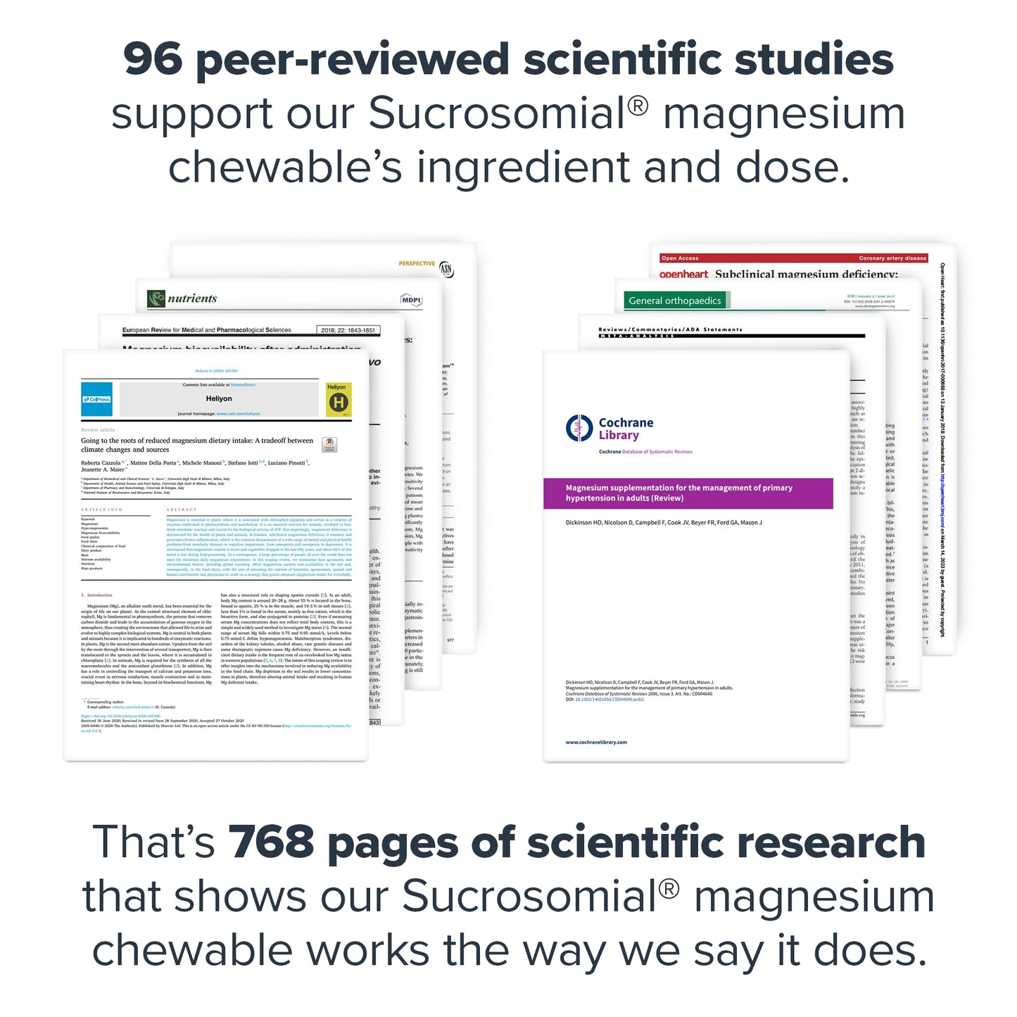 Legion Sucrosomial Magnesium Supplements - High Absorption Magnesium Supplement for Women & Men - Magnesium Mineral Supplements to Help Boost Athletic Performance & Overall Health - 120 Servings