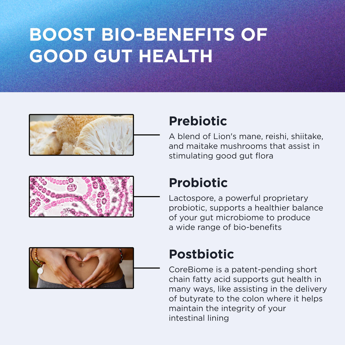 DR. EMIL NUTRITION Women & Men Total Gut Health Complex | Prebiotic + Probiotic + Postbiotic Gut Health Supplements DR. EMIL NUTRITION