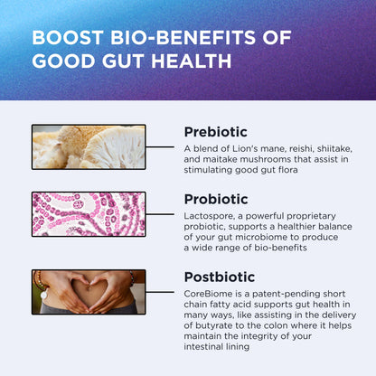 DR. EMIL NUTRITION Women & Men Total Gut Health Complex | Prebiotic + Probiotic + Postbiotic Gut Health Supplements DR. EMIL NUTRITION