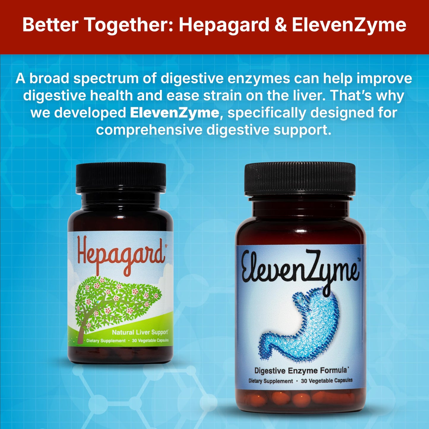 Hepagard - Natural Liver Support Supplement with N-Acetyl Cysteine (NAC) - Non-GMO, Vegan, Gluten-Free Hepagard