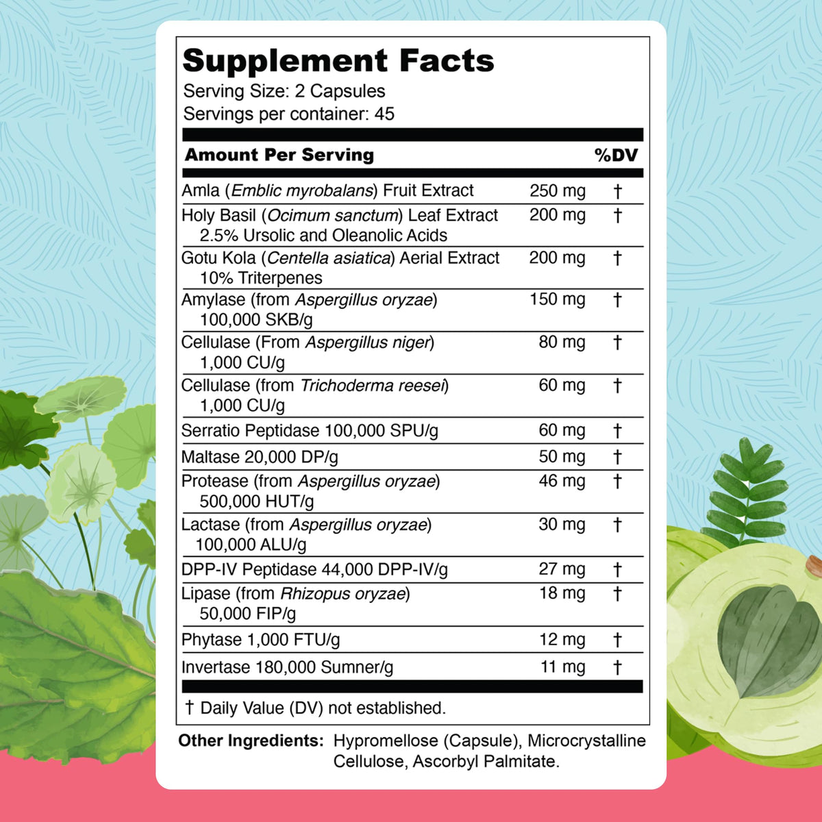 UpWellness Total Revive+ Digestive Enzymes - Broad-Spectrum Enzymes for Digestive Health - Supports Gut Health and Nutrient Absorption UpWellness