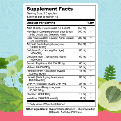 UpWellness Total Revive+ Digestive Enzymes - Broad-Spectrum Enzymes for Digestive Health - Supports Gut Health and Nutrient Absorption UpWellness