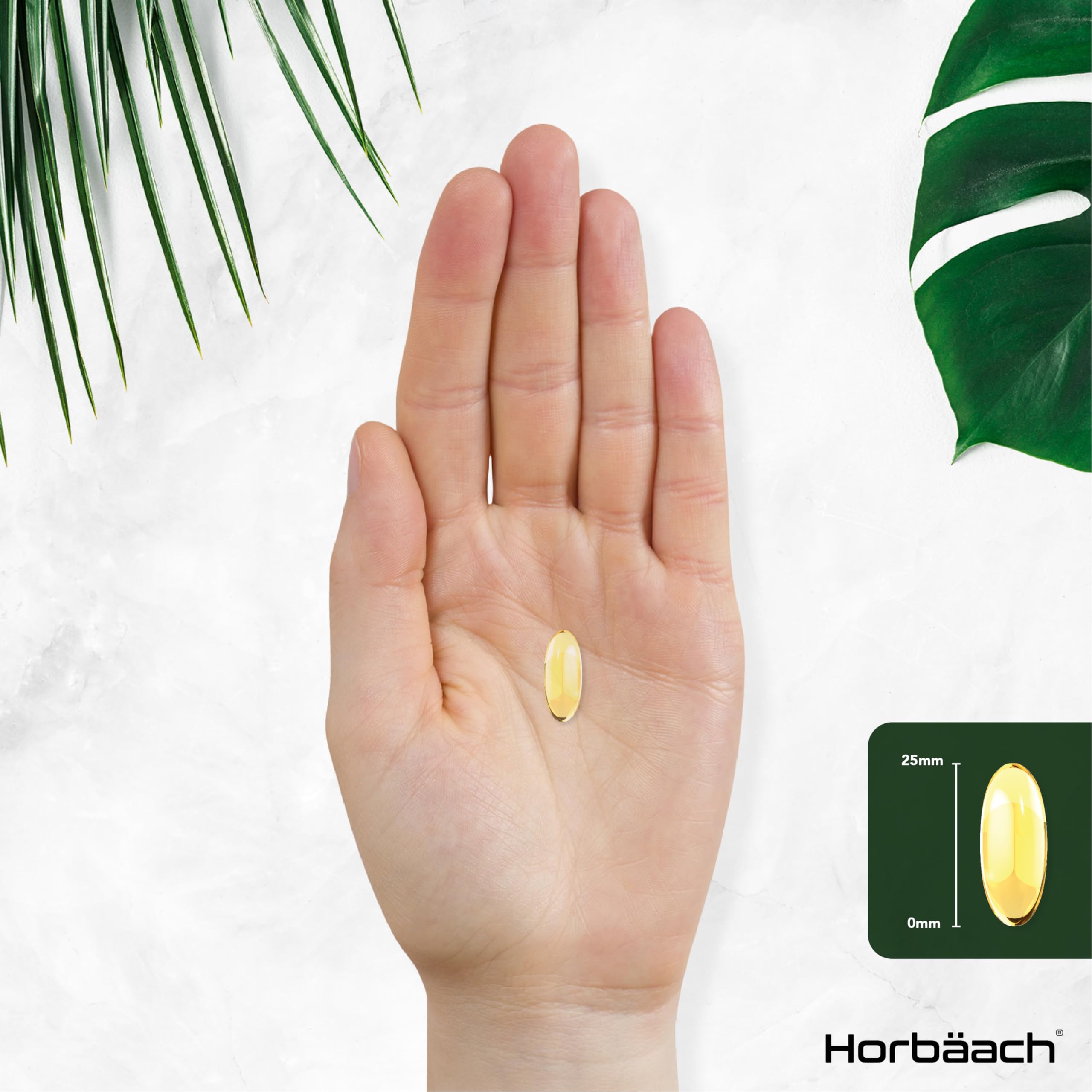 Omega 3 6 9 Capsules High Strength | 3000mg | 120 Softgels | Triple Omega 369 Horbäach buy australia supplements