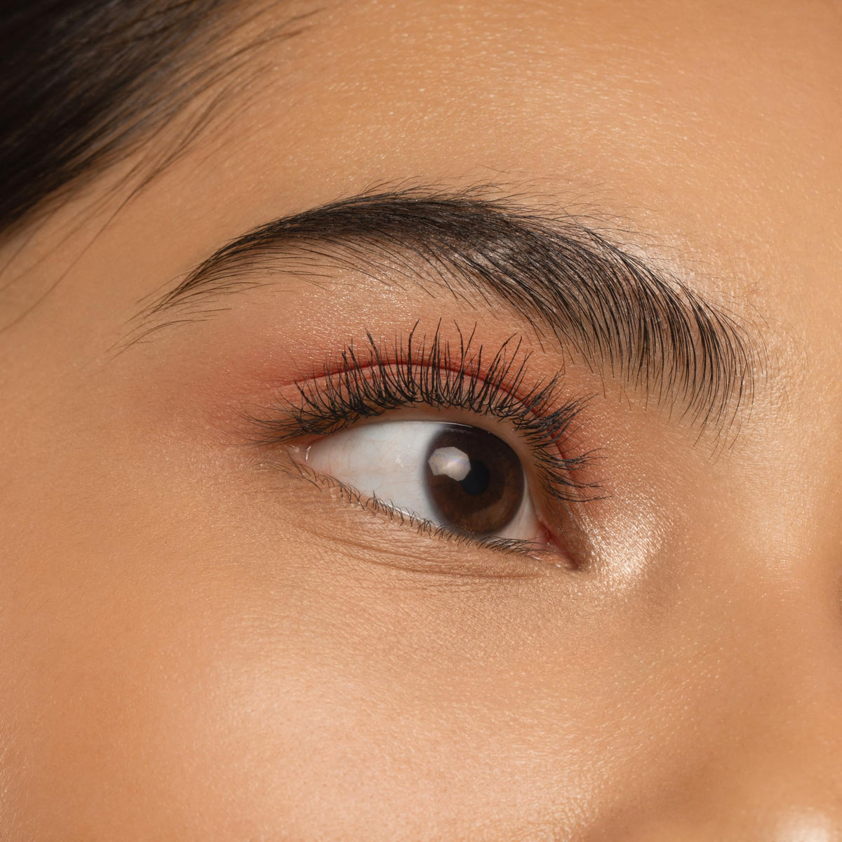 essence Lash Princess Slim Brush Long & Curl Waterproof Mascara (Pack of 1) Essence Cosmetics