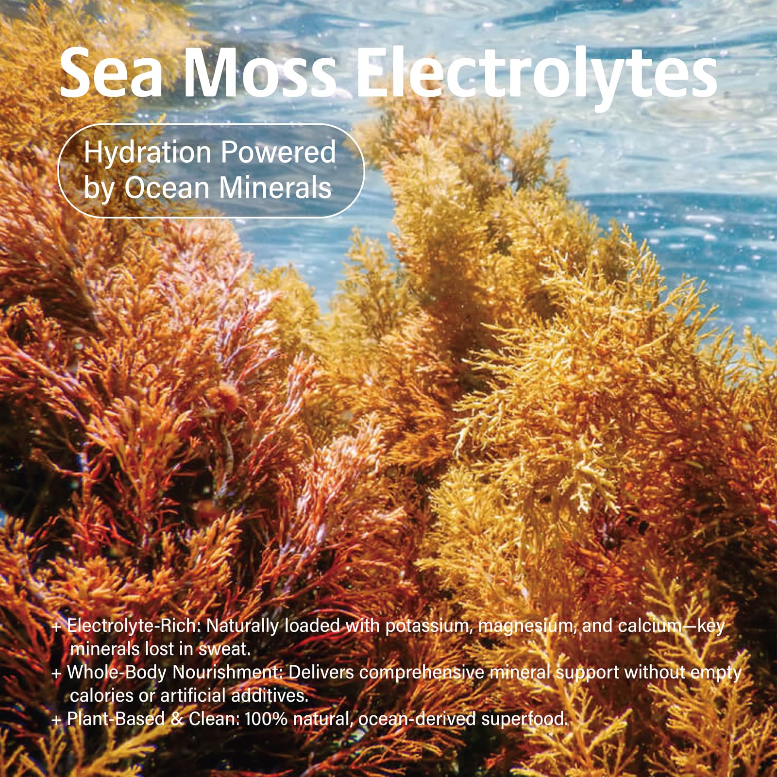 VDY Sea Moss Electrolytes Powder Packets - Hydration Packets Sugar Free - Electrolyte Packets with 30 Sticks - Zero Sugar & 0 Calorie - Keto Friendly VDY buy australia supplements