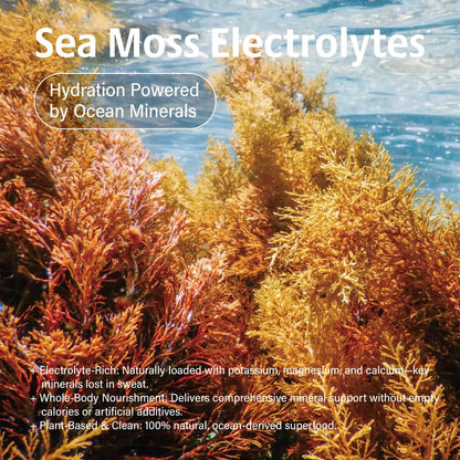 VDY Sea Moss Electrolytes Powder Packets - Hydration Packets Sugar Free - Electrolyte Packets with 30 Sticks - Zero Sugar & 0 Calorie - Keto Friendly VDY