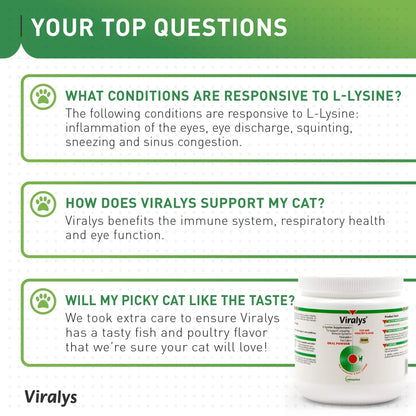 Vetoquinol Viralys Daily L-Lysine Powder for Cats and Kittens, Fish Flavored Lysine Supplement for Cats and Kittens to Support Immune Health Vetoquinol