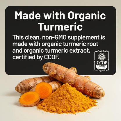 NatureWise Curcumin Turmeric 2250mg - 95% Curcuminoids & BioPerine Black Pepper Extract for Advanced Absorption - Daily Joint and Immune Health Support NatureWise