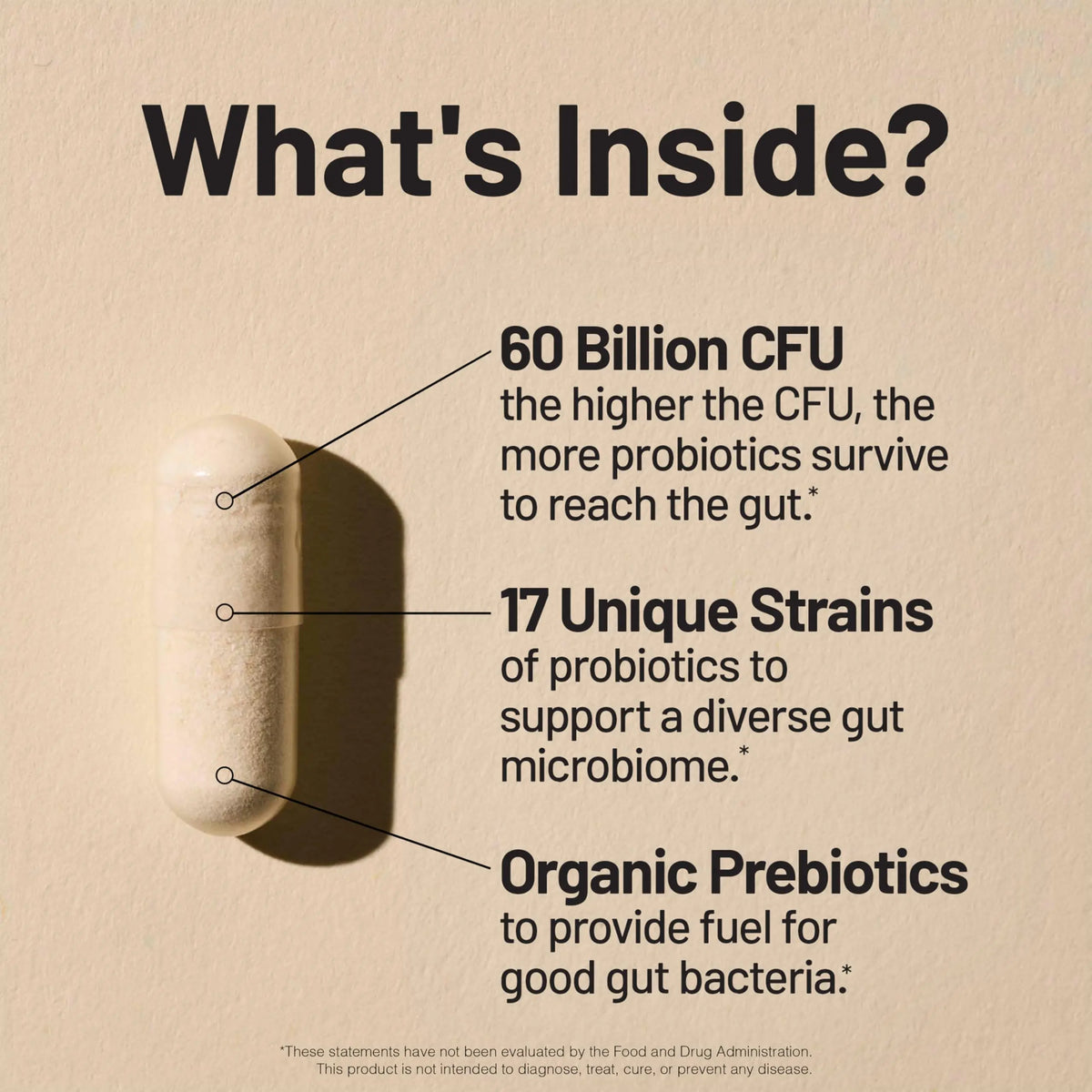 NatureWise Probiotics 60 Billion CFU - 17 Strains + Organic Prebiotics - Immune, Digestive & Gut Health Support for Women & Men - Vegetarian, Gluten-Free, NatureWise