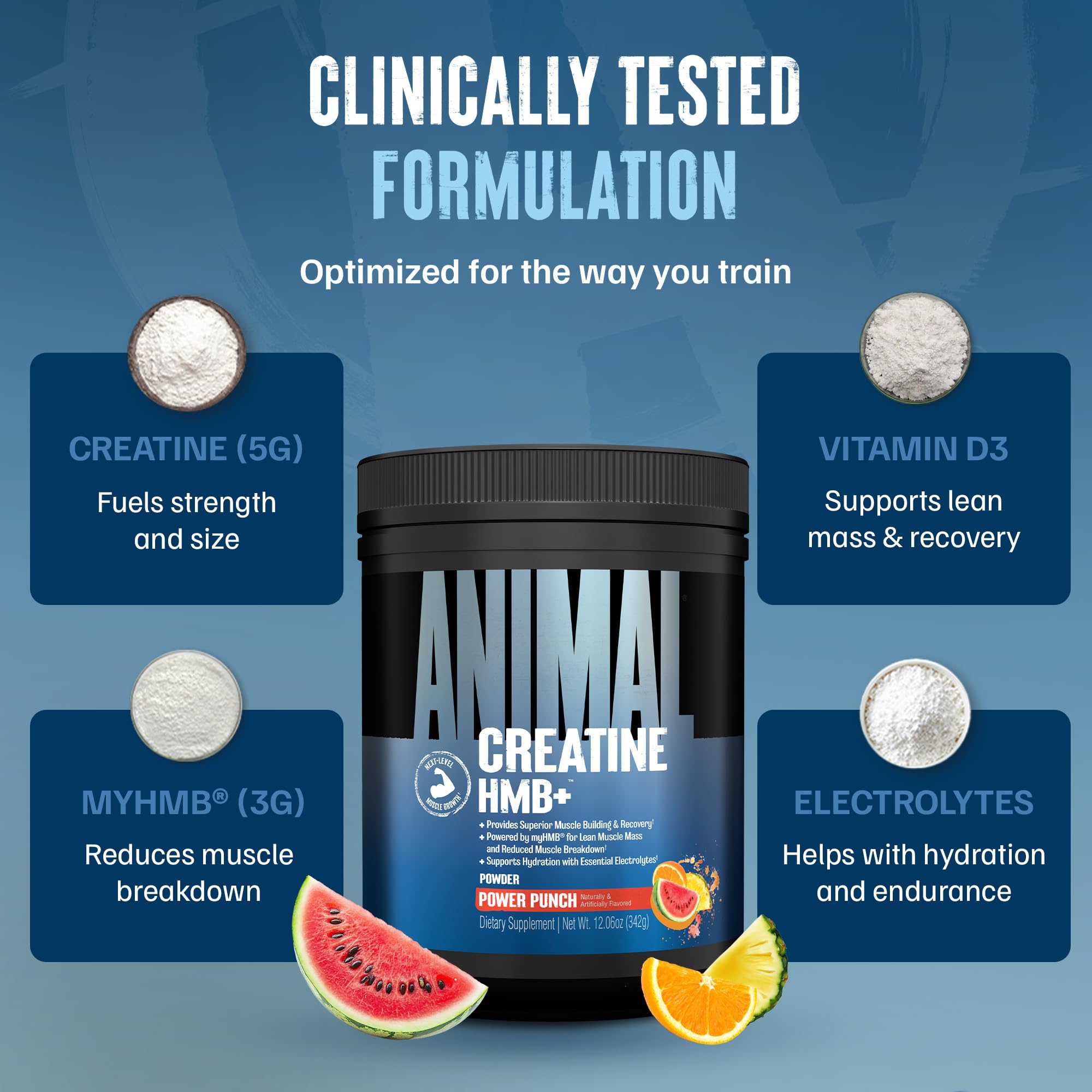Animal Creatine HMB Powder – 3g myHMB + 5g Creatine with Electrolytes for Recovery & Daily Energy – Power Punch Flavor, 30 Servings Animal buy australia supplements
