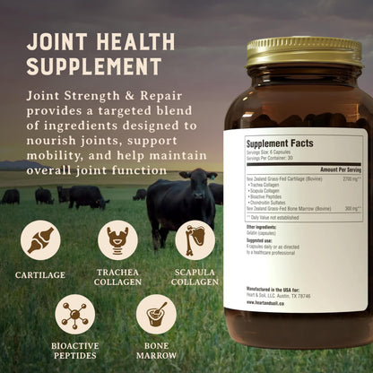 Heart & Soil – 100% Grass Fed & Finished Hair Skin and Nails Supplement from Regenerative Cattle with Cartilage, Liver, & Bone Marrow – 3000mg Beef Organs for Women & Men – Glass Bottle – 180 Capsules