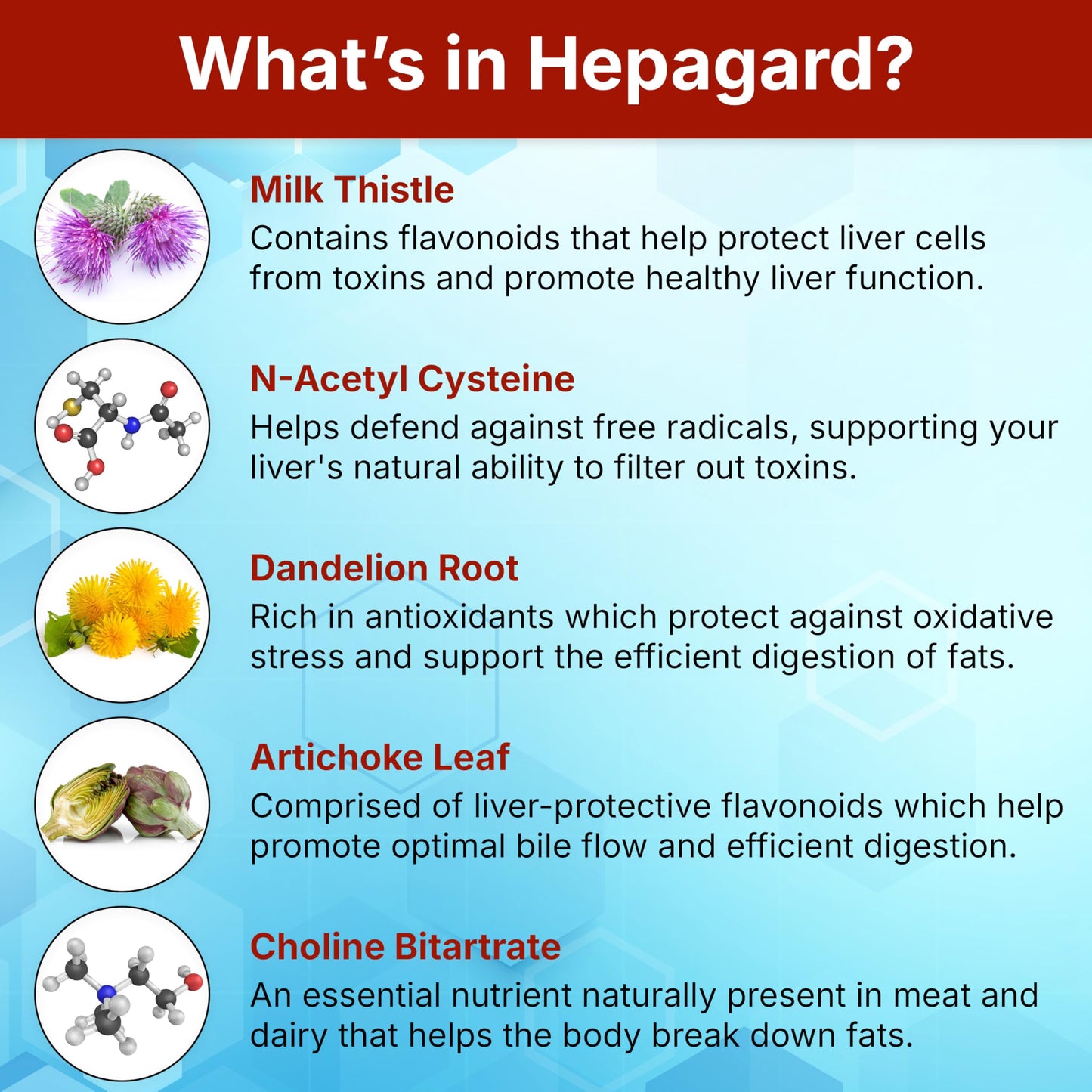 Hepagard - Natural Liver Support Supplement with N-Acetyl Cysteine (NAC) - Non-GMO, Vegan, Gluten-Free Hepagard