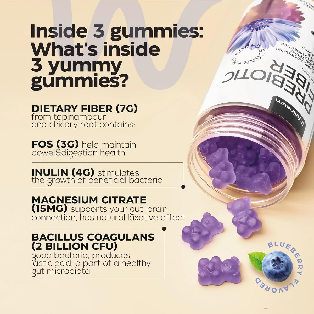 High Prebiotic Fiber Gummies for Women and Men 7G, 160 Pcs (2 Pack) - Natural  Support - Beet FOS Fiber, Magnesium, Inulin, Probiotic - Gummy Supplement for Digestive Health - Sugar Free Wellneum