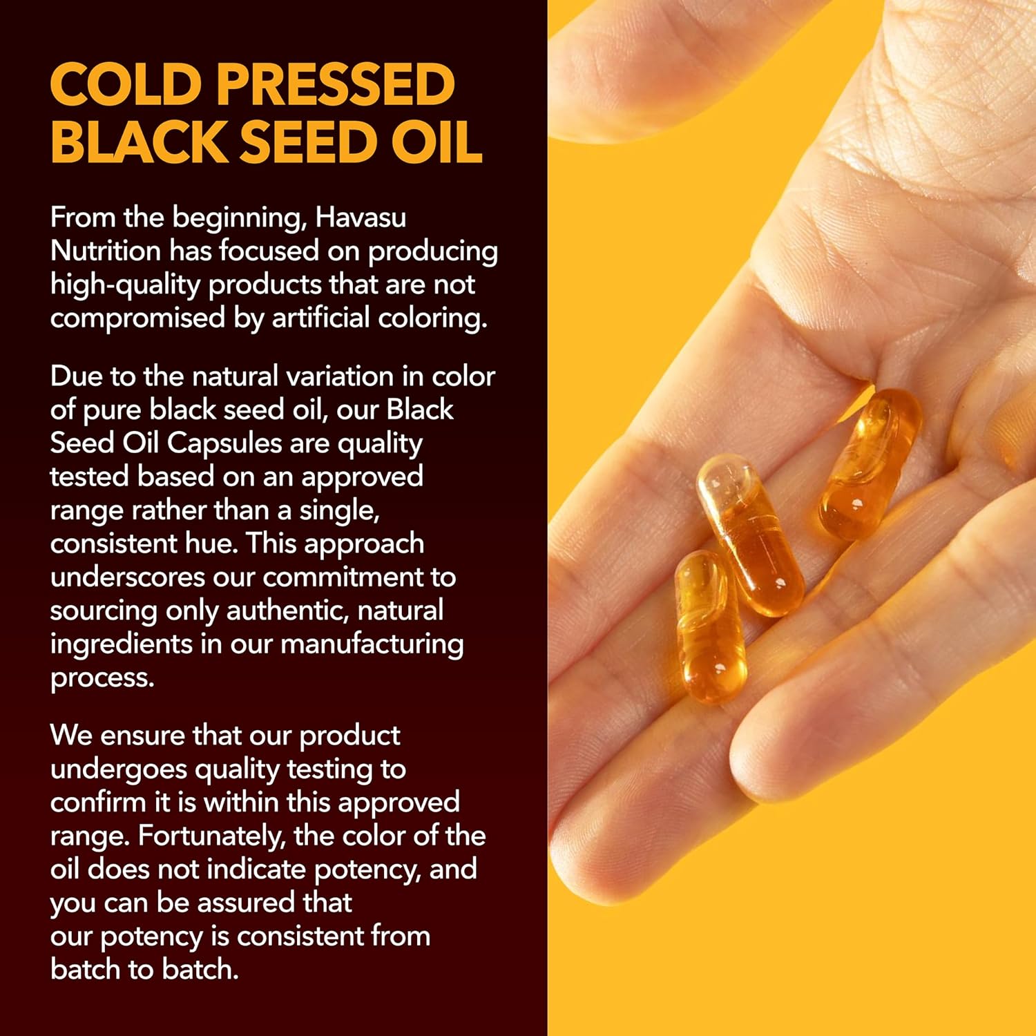 Black Seed Oil Capsules, Vegan, Non-GMO, Cold-Pressed Nigella Sativa, 90ct | 1500mg Per Serving Black Cumin Supplement for Skin Health, Immune Function, and Digestive Health, Unflavored, 30 Servings Gsupps Australia