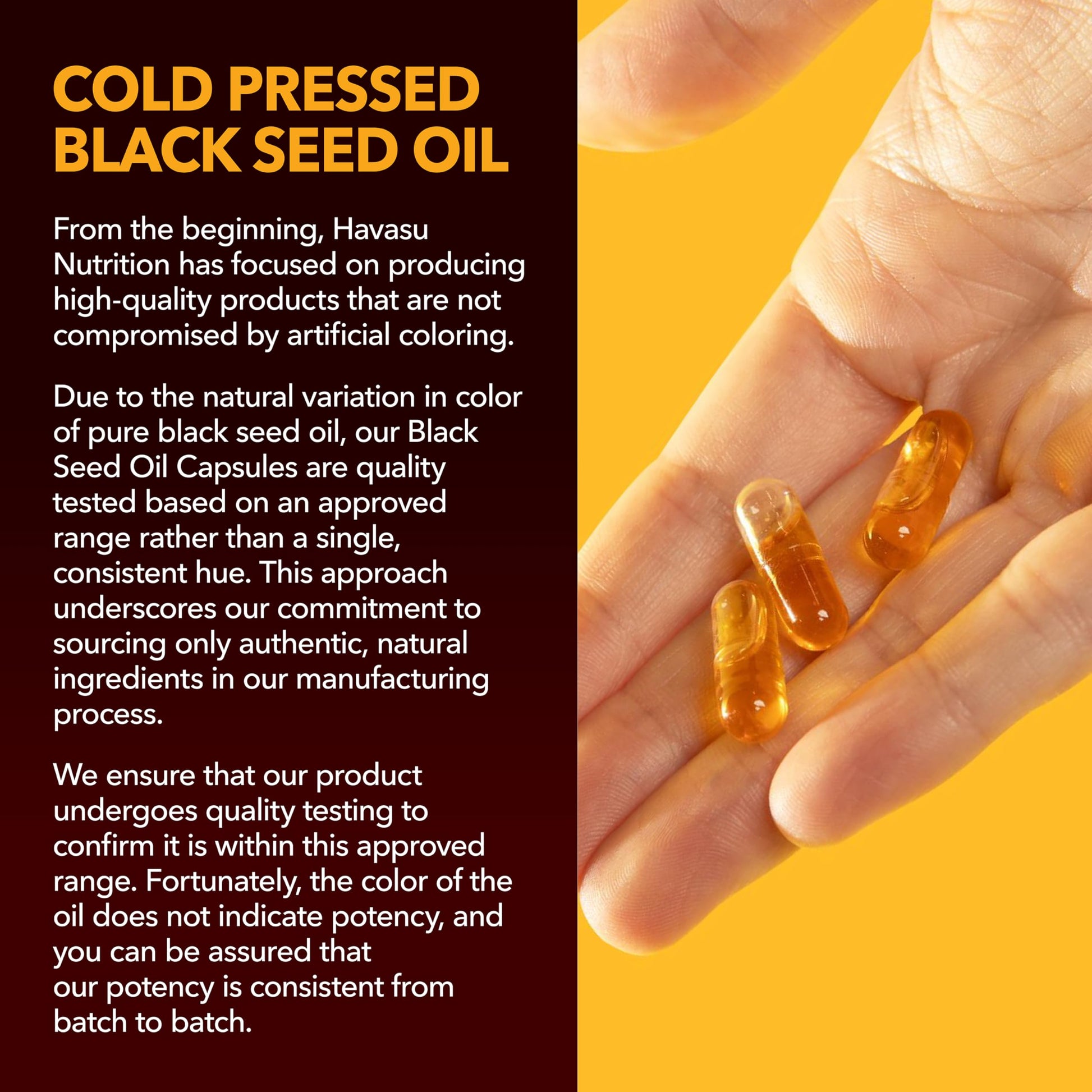 Black Seed Oil Capsules, Vegan, Non-GMO, Cold-Pressed Nigella Sativa, 90ct | 1500mg Per Serving Black Cumin Supplement for Skin Health, Immune Function, and Digestive Health, Unflavored, 30 Servings Gsupps Australia