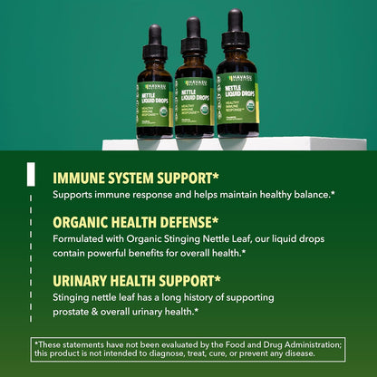 Organic Stinging Nettle Leaf Extract, Urinary Support, Unflavored, 1 Fl Oz | Stinging Nettle Tincture for Men and Women, USDA Certified, Vegan, Gluten Free, Non-GMO Herbal Tincture, 60 Servings Gsupps Australia