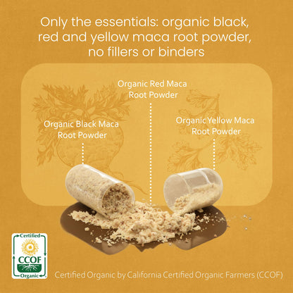 NaturaLife Labs Organic Maca Root – Black, Red & Yellow – 1900 mg per Serving – 150 Capsules – Gelatinized Peruvian Maca NaturaLife Labs