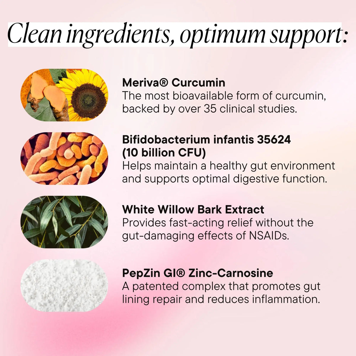 Goodness Lover Inflammation Pro, with 10 Billion CFU for Digestive Support, Curcumin, White Willow bark Extract, Zero fillers, Vegan, 30 Servings Goodness Lover