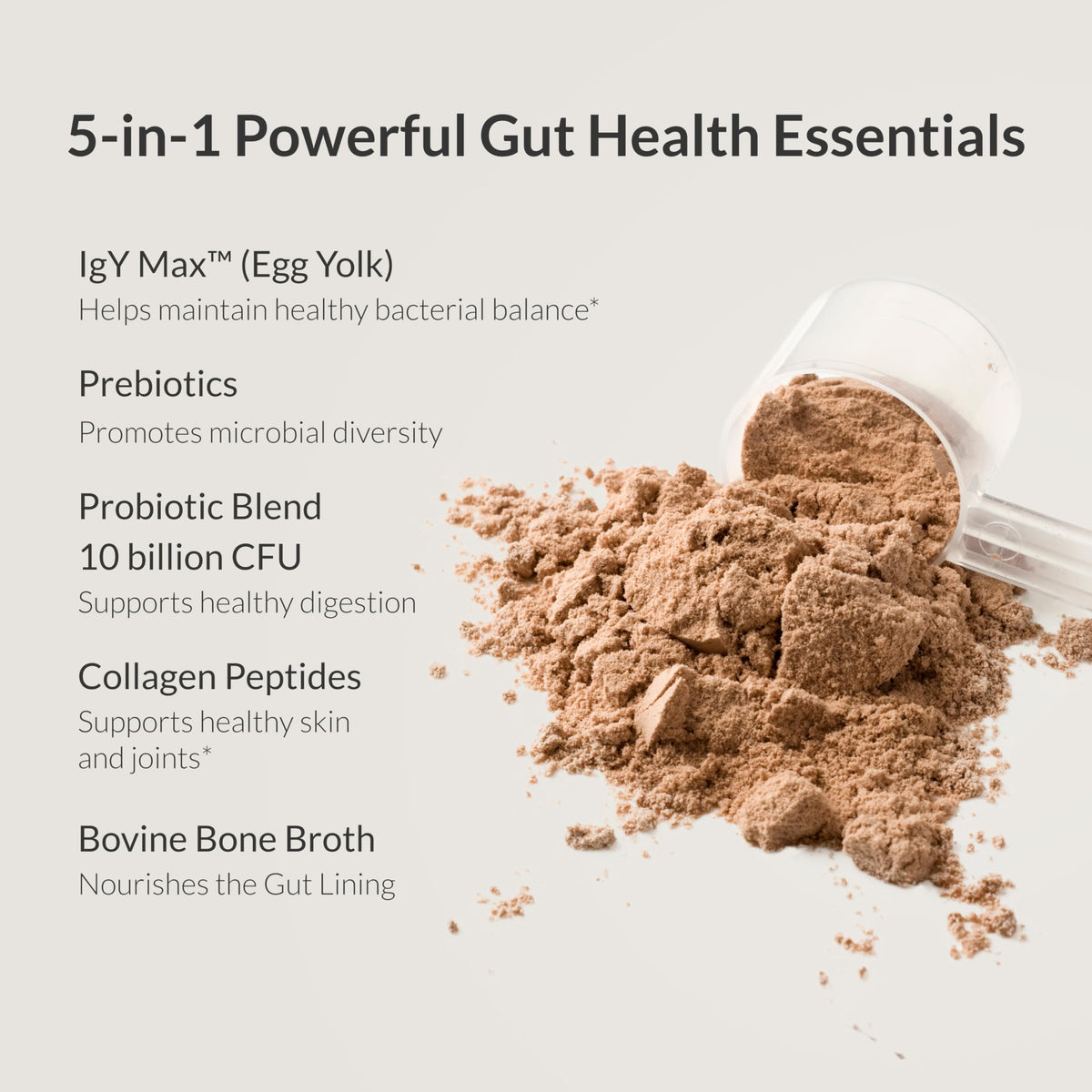 Microbiome Breakthrough Gut Support Powder Chocolate Flavor With Lactobacillus Strains, Bone Broth & Collagen Source of L-Glutamine Supports Digestive Comfort, Gas & Bloating Relief 30 Servings* BIOptimizers