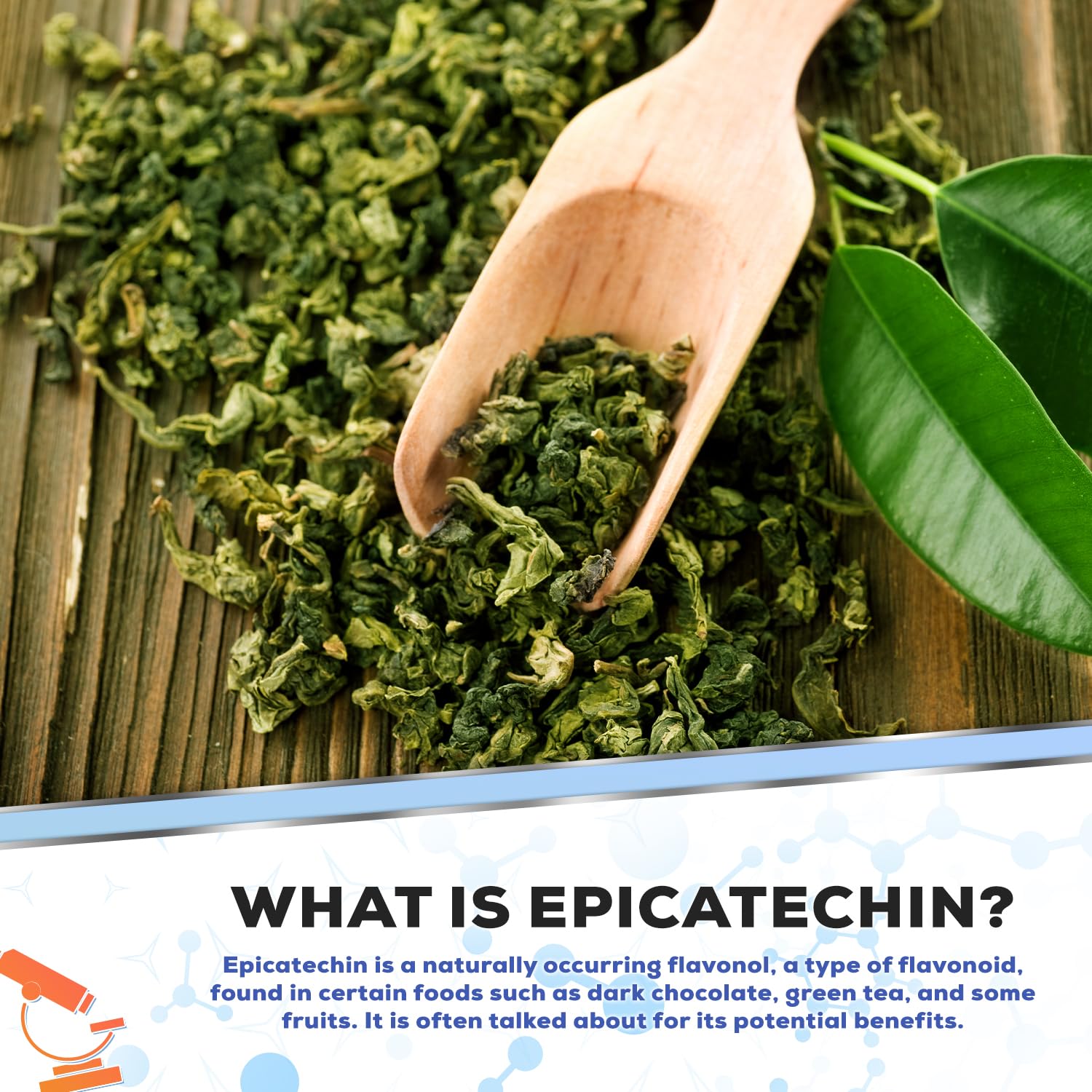 Muscle Empire Epicatechin Extract Capsules | EPI 250mg | 180 Pill Count | Supports Lean Muscle Empire buy australia supplements