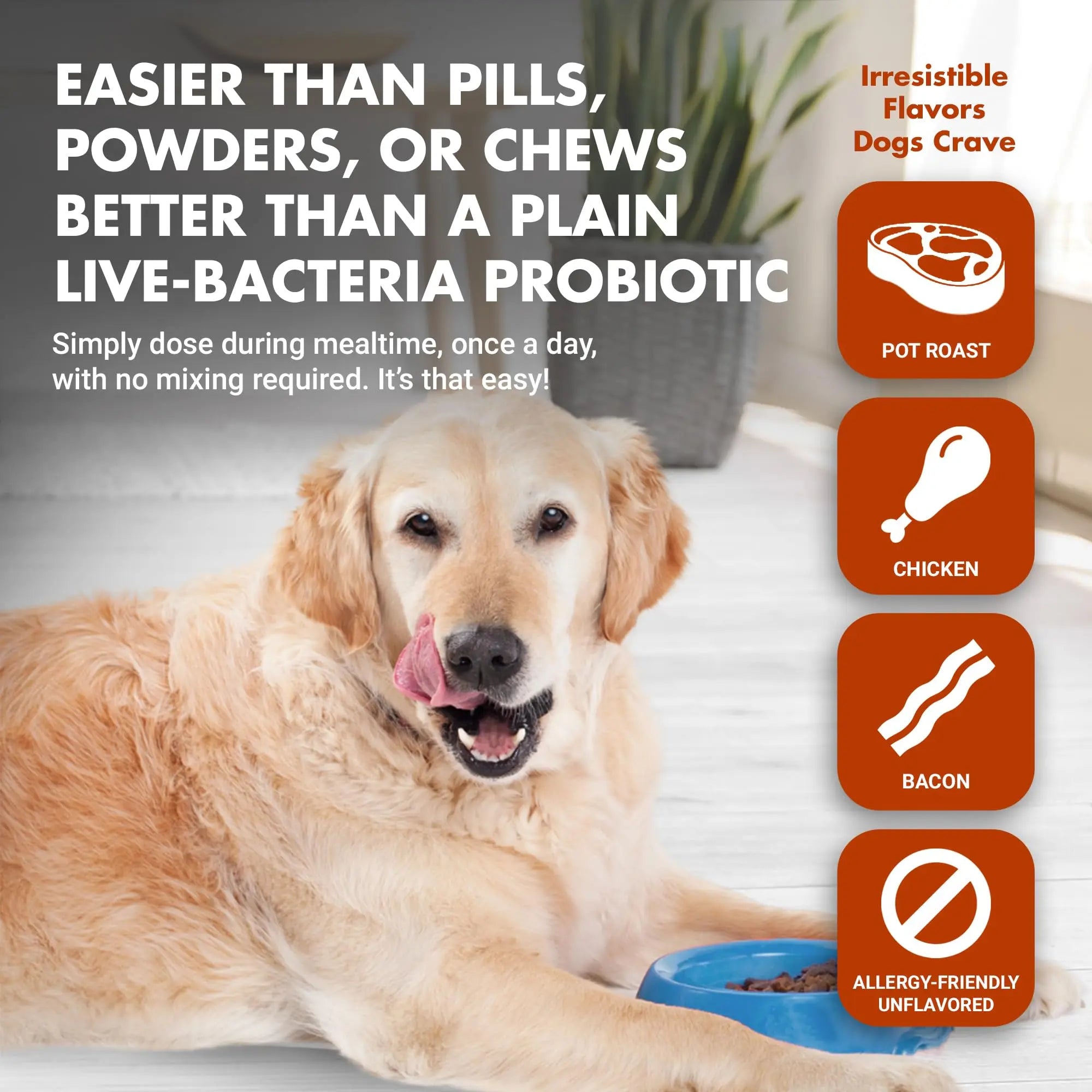 Pre & PostBiotic Support for Dogs – Digestive Upset, Stool Quality & Sensitive Stomach Support – Easy Liquid Formula for Picky Eaters LIQUID-VET buy australia supplements