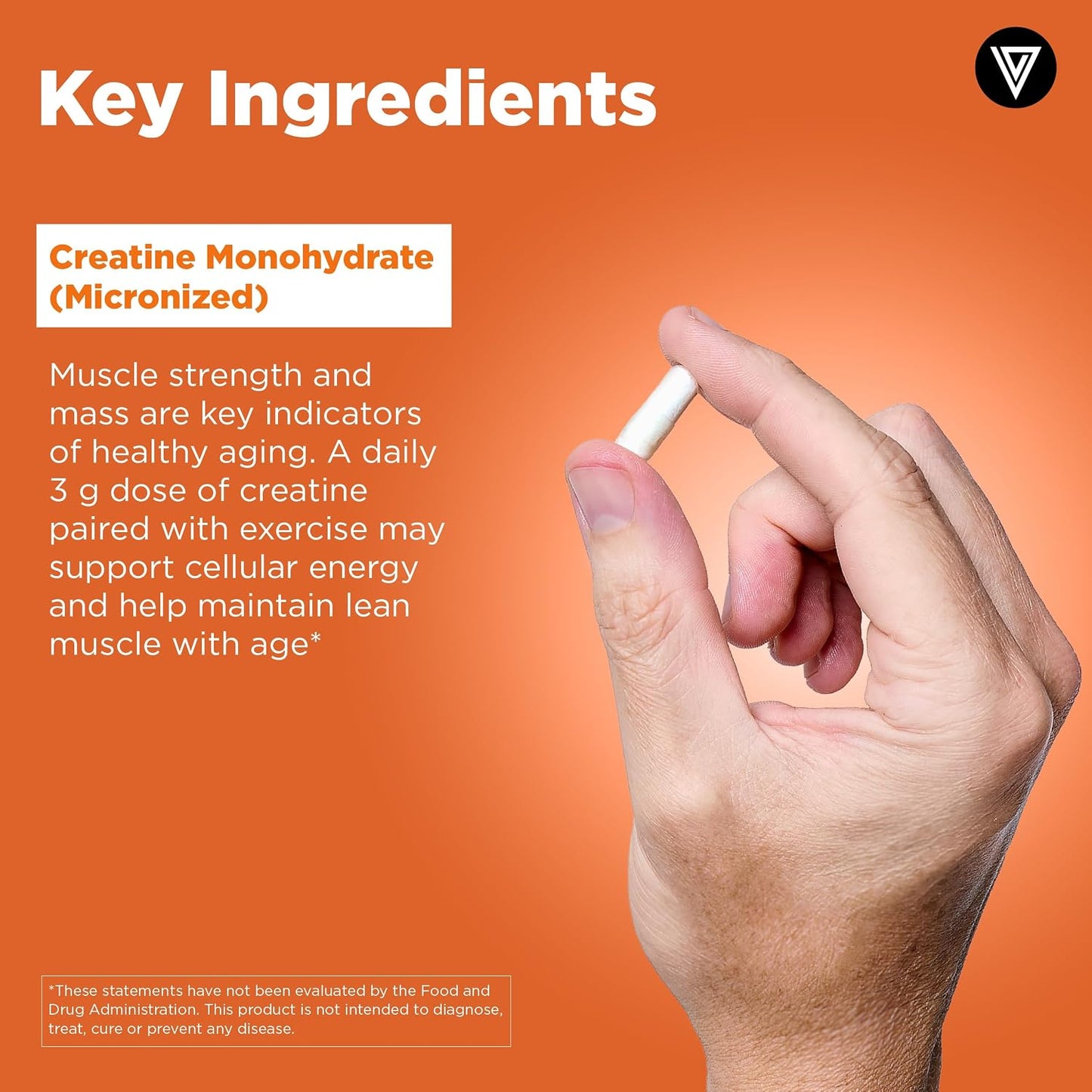 Vital Vitamins Creatine Monohydrate Pills, 3g for Women & Men | Supports Muscle Health, Energy & Cognitive Clarity, Micronized, Easy to Swallow, Non-GMO, 120 Capsules Gsupps Australia