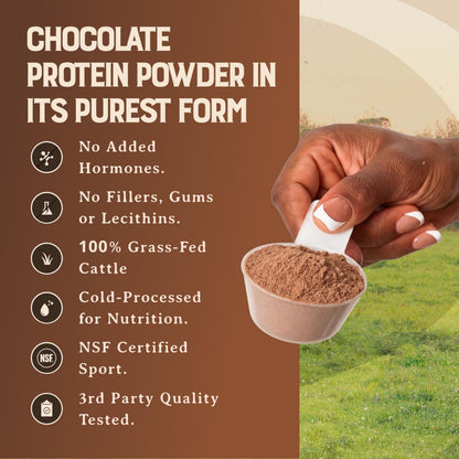 100% Grass Fed Whey Chocolate Protein Powder – Only Four Ingrediants, Absolutely Nothing Artificial – 25g of Grass Fed Whey Protein Per Serving – Clean Post Workout Recovery Powder – 2.84 lbs