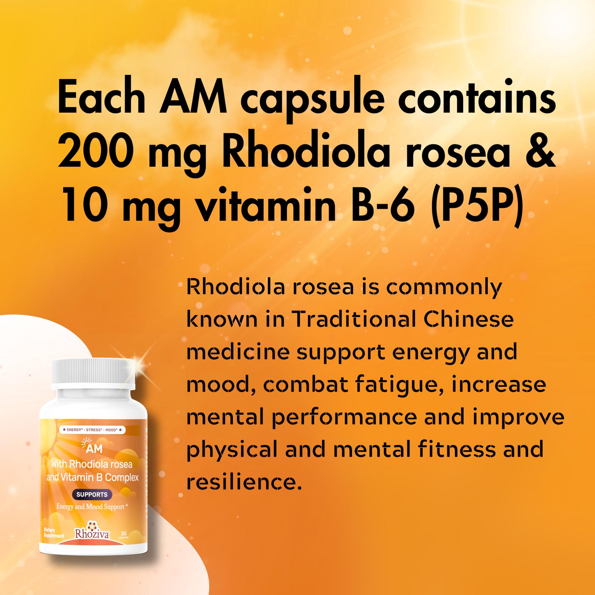 AM PM Multivitamin - Cortisol Supplements for Women and Men with L-Theanine, Ashwagandha - Rhodiola Rosea Supplement 200mg - Vitamin B Complex - Nootropics - Day and Night Vitamins for Women & Men Rhoziva buy australia supplements