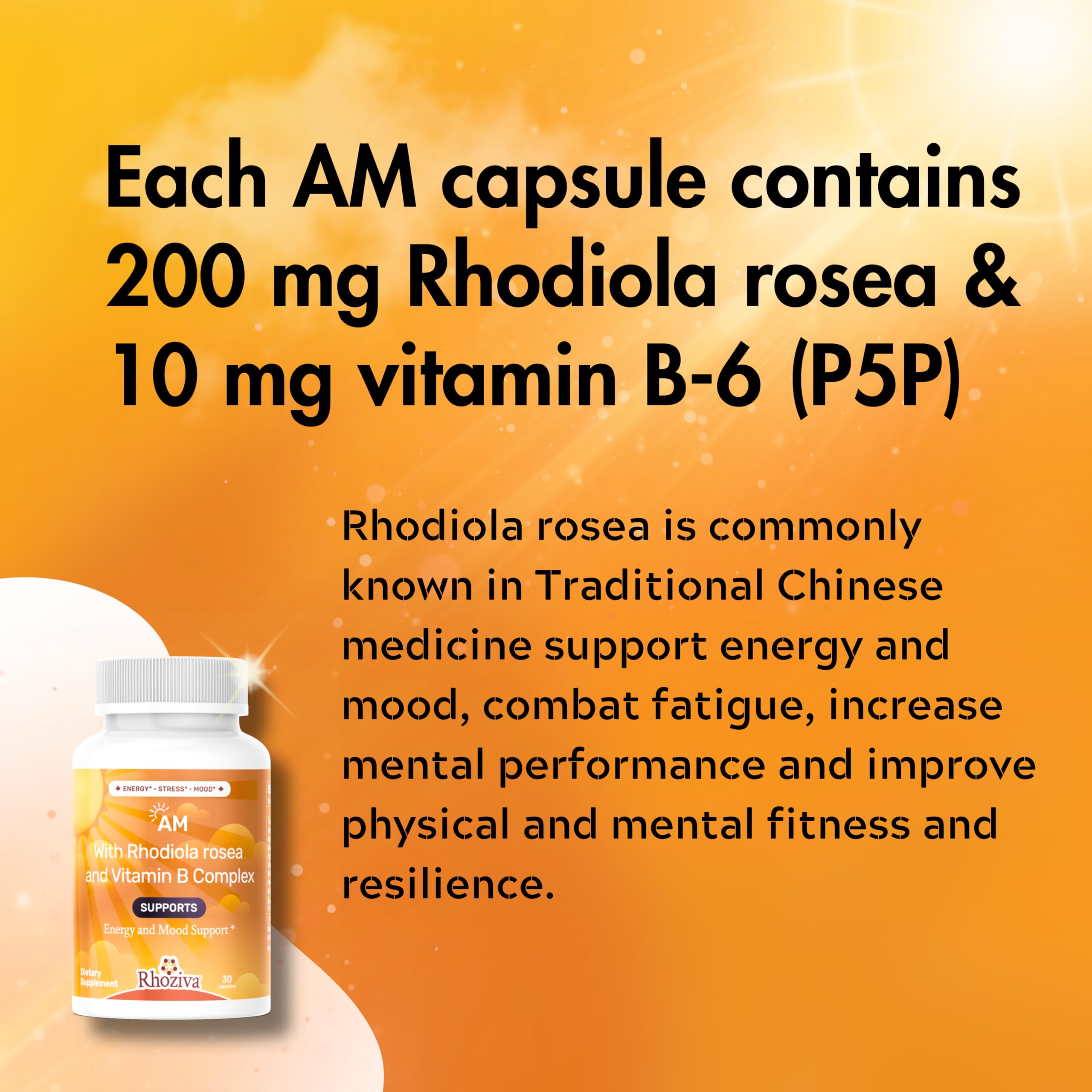 AM PM Multivitamin - Cortisol Supplements for Women and Men with L-Theanine, Ashwagandha - Rhodiola Rosea Supplement 200mg - Vitamin B Complex - Nootropics - Day and Night Vitamins for Women & Men Rhoziva buy australia supplements