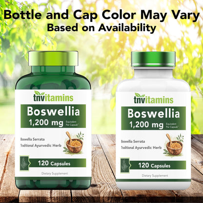 tnvitamins Boswellia Extract Capsules, 120 Count | 1,200 mg Per Capsule | 65% Boswellic Acids + 10:1 Concentrated Extract | Boswellia Serrata tnvitamins